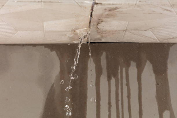Professional Burst Pipe Cleanup technician working in Whitsett, TX